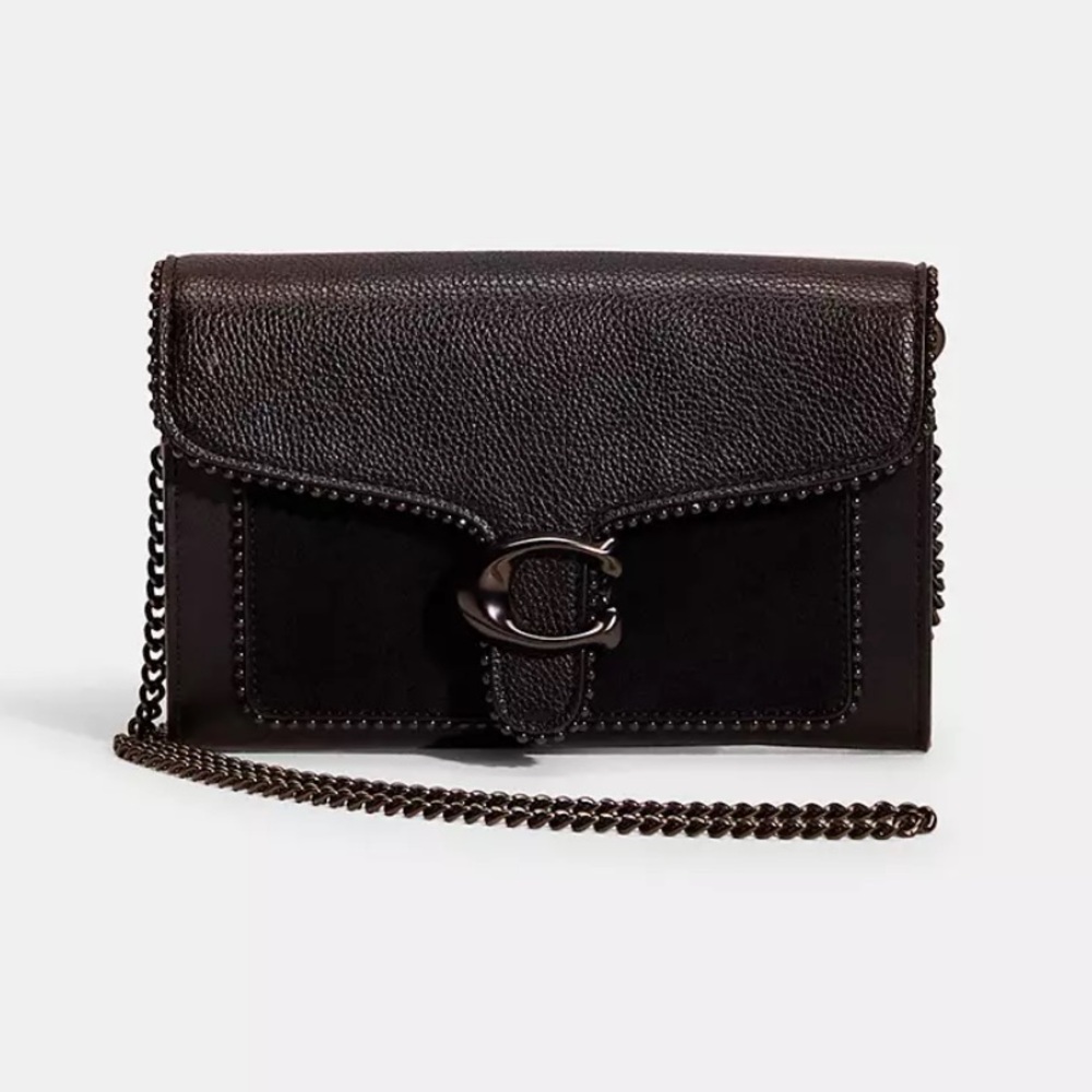 Tabby Chain Clutch